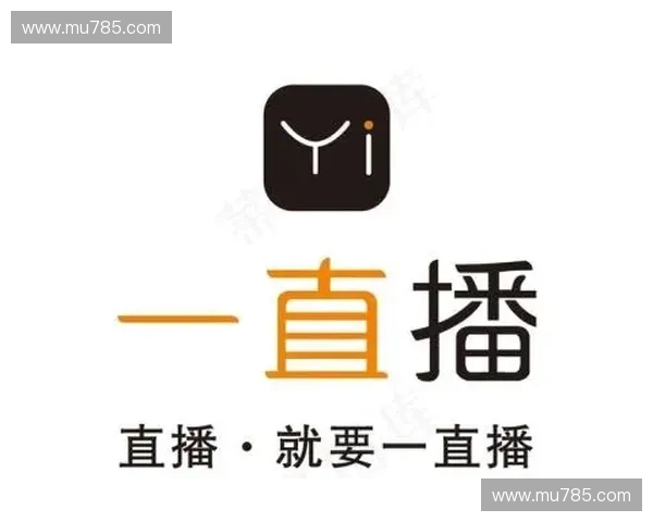 一直播下载安装步骤详解与常见问题解决方案解析